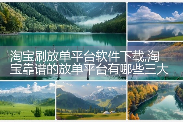 淘宝刷放单平台软件下载