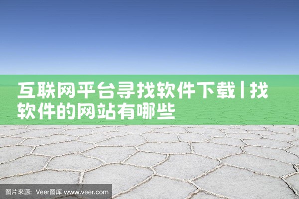 互联网平台寻找软件下载