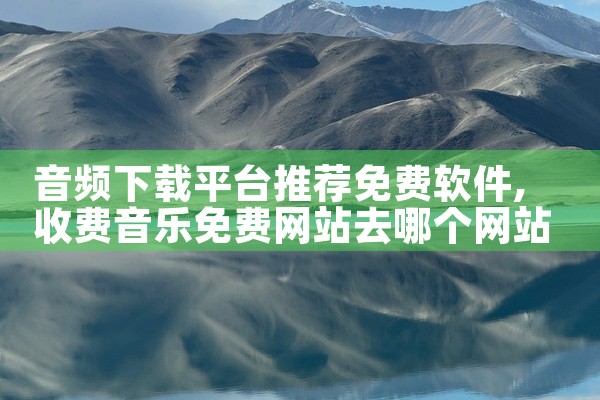 音频下载平台推荐免费软件