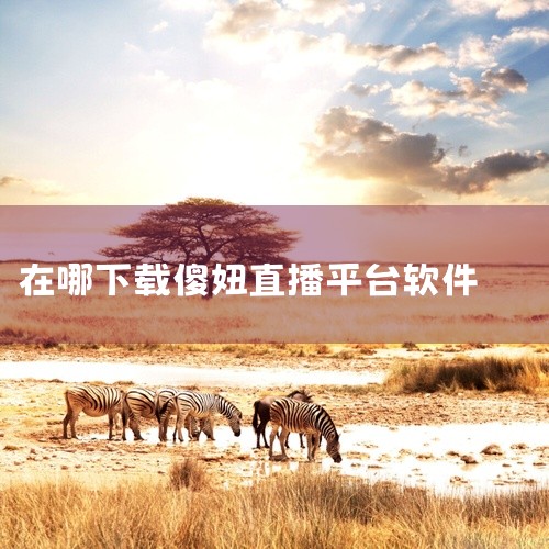 下载手机的软件，可以在手机上安装个应用宝就可以了。上面不光是软件齐全，而且软件的兼容性很好，不会和手机发生什么冲突，不会安装不了或者安装了打不开之类的。软件都是安全的在正式版本呢，除了软件还能下载其他,