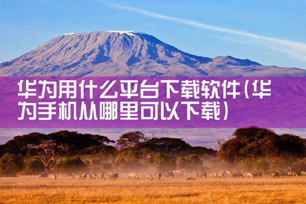 华为用什么平台下载软件