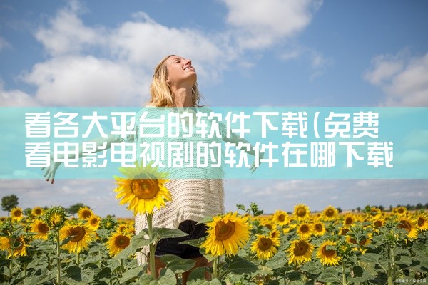 看各大平台的软件下载