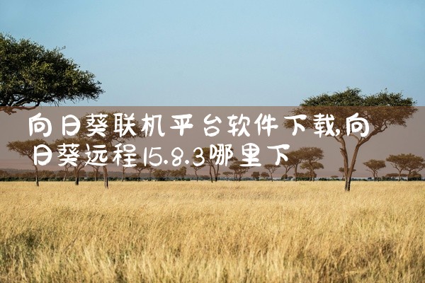 向日葵联机平台软件下载