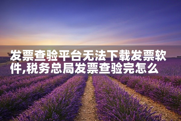发票查验平台无法下载发票软件